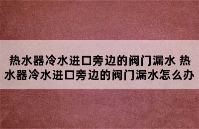 热水器冷水进口旁边的阀门漏水 热水器冷水进口旁边的阀门漏水怎么办